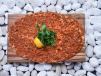 Lahmacun