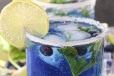 Blueberry Mojito