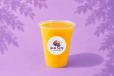 Mango Paradise
