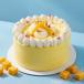 Mango Ice Cream Cake Big