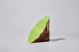 Matcha Zen
