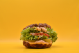 The Low Carb