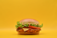 The Peri Peri Burger