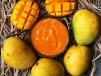 Aamras 200cc
