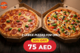 Any 2 Large Pizzas