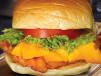 Tasty Burger Sandwich