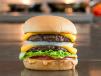 Double Burger Sandwich