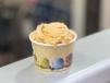 Kulfi Scoop