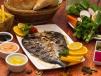 Seabream Fish