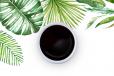Soy Sauce