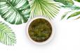 Chimichurri Dressing