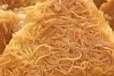 Kunafa Egyptian