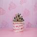Choco Divino