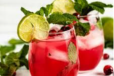 Cranberry Mojito