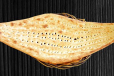 Special Bread