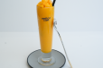 Mango Juice