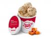 Salted Caramel Pecan Ice Cream