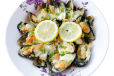 Mussels
