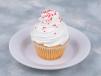 Vanilla Cupcake