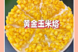 Golden Corn Pancake