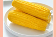 Boiled Corn 1 Pcs