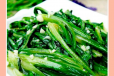 Leaf Lettuce With Garlic
