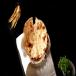 Tandoori Roti Bread