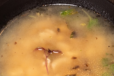SWEET CORN CHICKEN SOUP