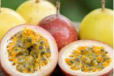 Passion Fruit