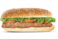 Kabab Chicken Combo