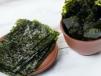 Seaweed Nori Snack
