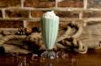 Avocado Shakes