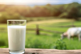 Fresh Milk