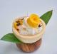 COCO MANGO BOWL