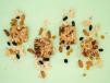 Peanut Butter Date Granola Bar