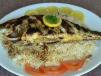 Hamour Fish