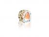Signature Chic Salmon Rolls