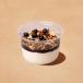 Blueberry Granola Yoghurt Pot