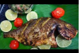 Malabar Seabream Grilled Fish