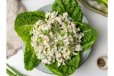 Cream Of Chicken Salad
