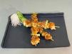 Chicken Yakitori