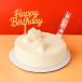 Eggless Raffaello Cake Birthday Combo