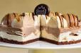 Tropical Chocolate Ice Cream Cake-1.4Kg