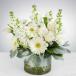 Delicate Beauty Centerpiece Arrangement