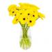 Yellow Gerbera In Glass Vase