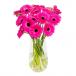 Pink Gerbera In Glass Vase