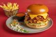 Pulled Chicken Burger