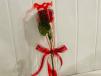 Single Rose