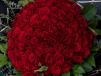 100 Roses Bouquet