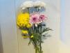 Chrysanthemum Stem 1pc